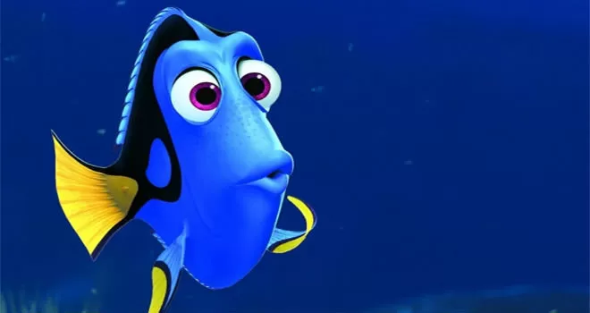  Dory: Qual a espécie da peixinha azul de memoria curta?